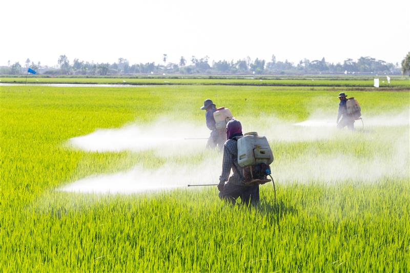 Pesticides and Insecticides