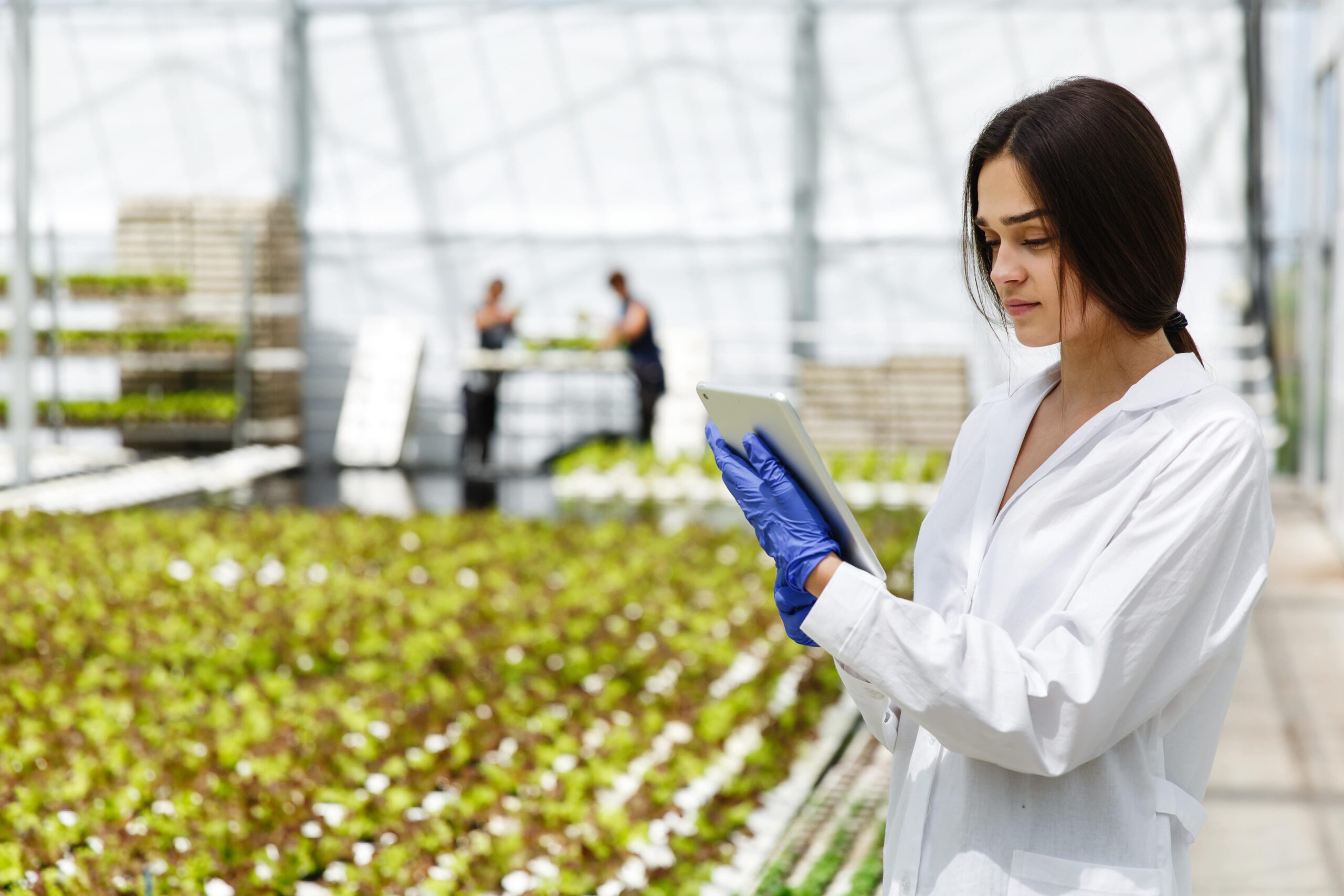 Why Choose ITC Labs for Agri-Chemical Testing