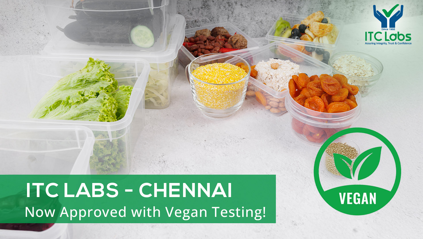 Vegan Testing Lab