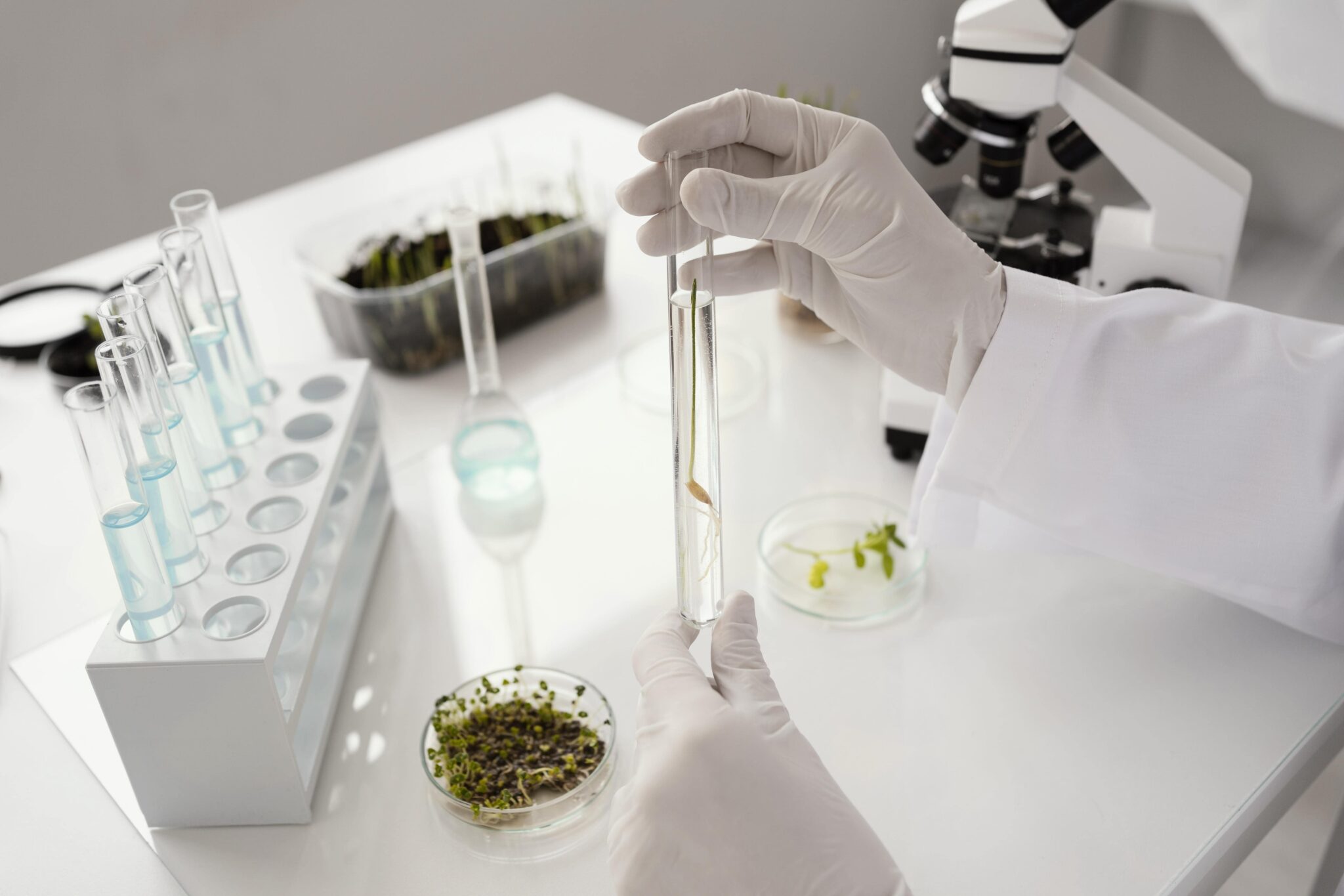 Herbal Testing Laboratory: Why Choosing A Certified Laboratory Matters