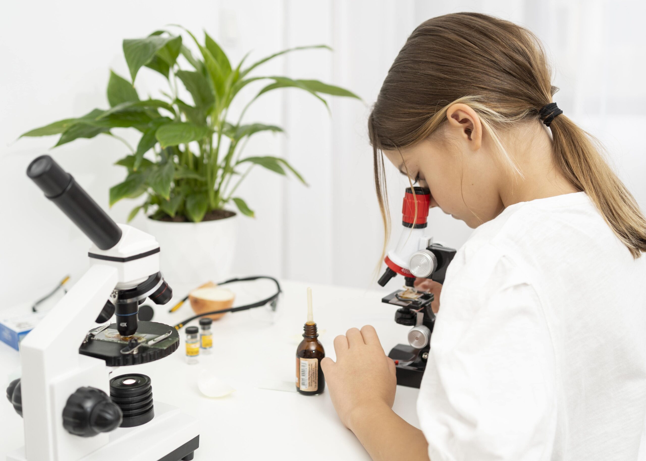 cosmetic products testing services