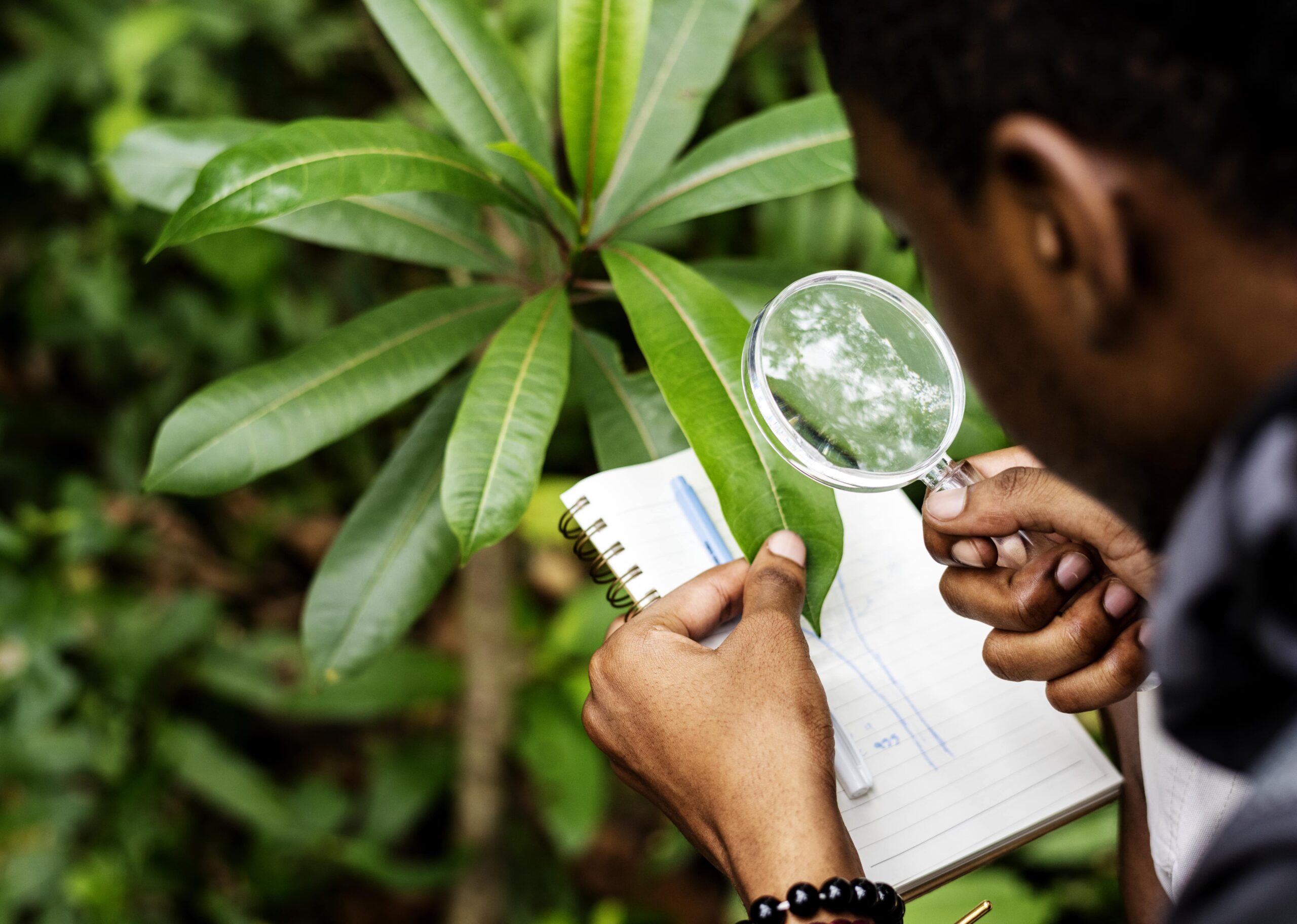 environmental impact assessment services