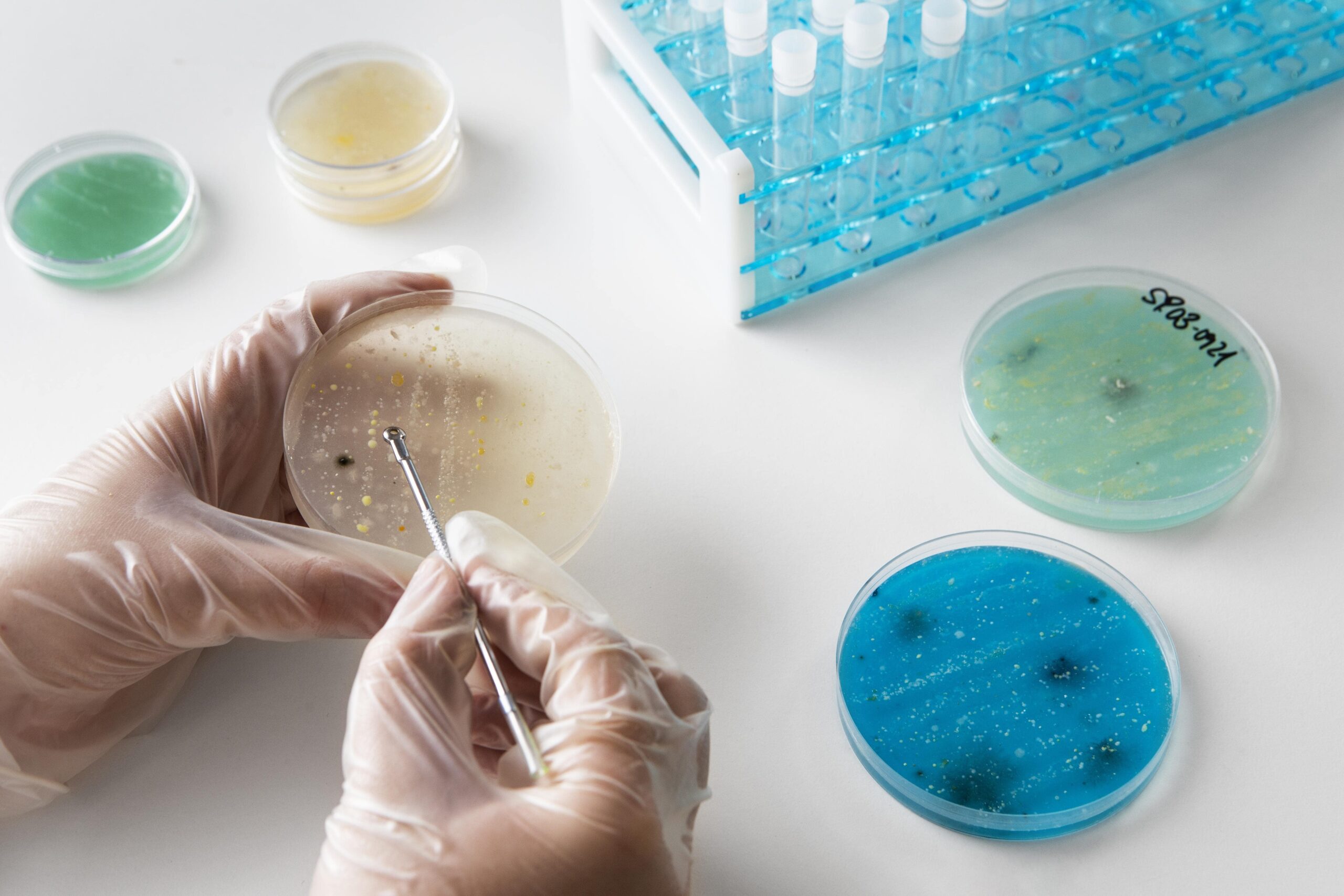 Microbiological Testing