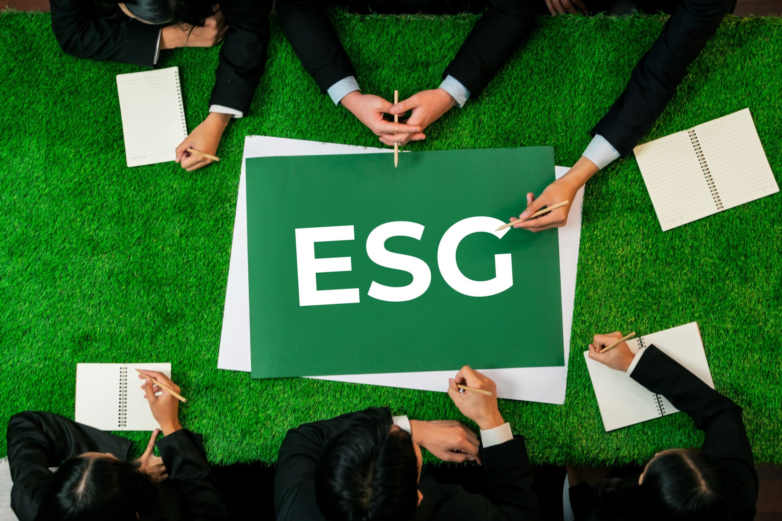 ESG Advisory Services For BRSR Compliance & Sustainability
