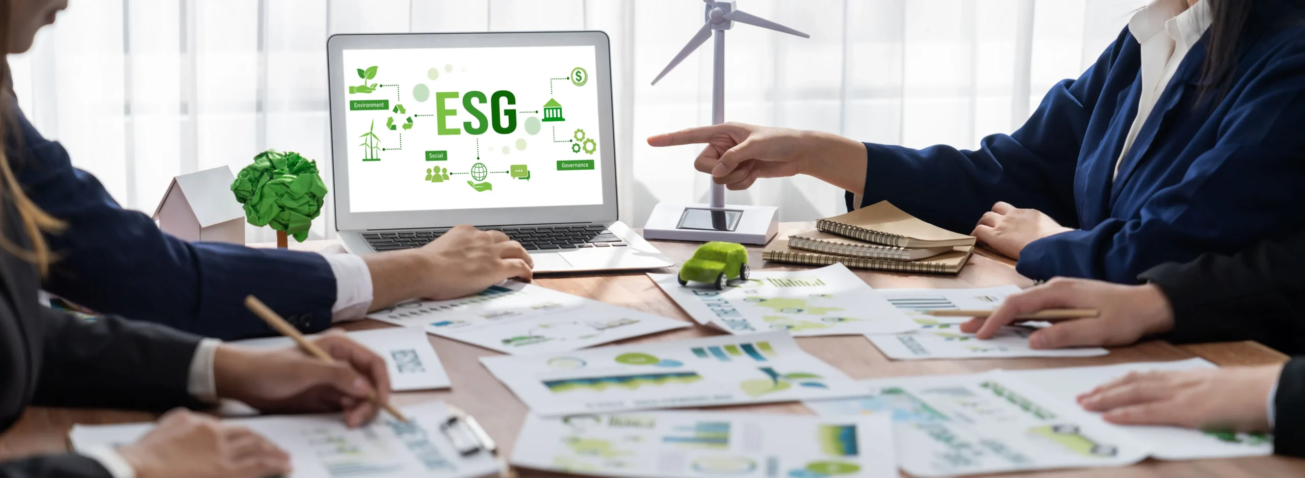 ESG Advisory Services