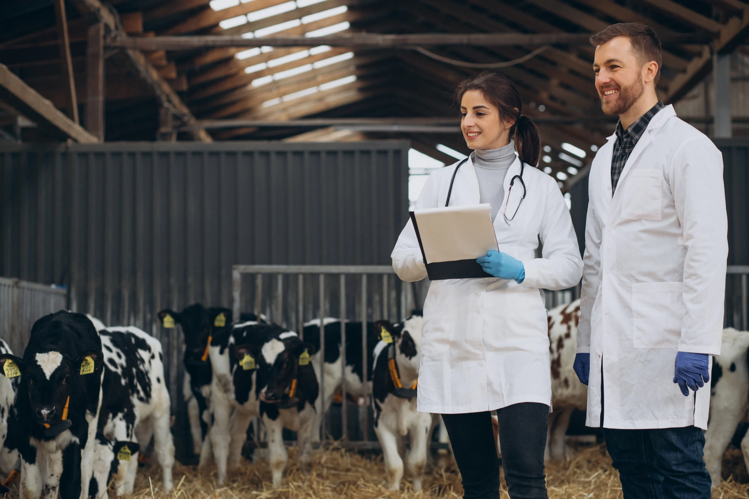 feed testing services