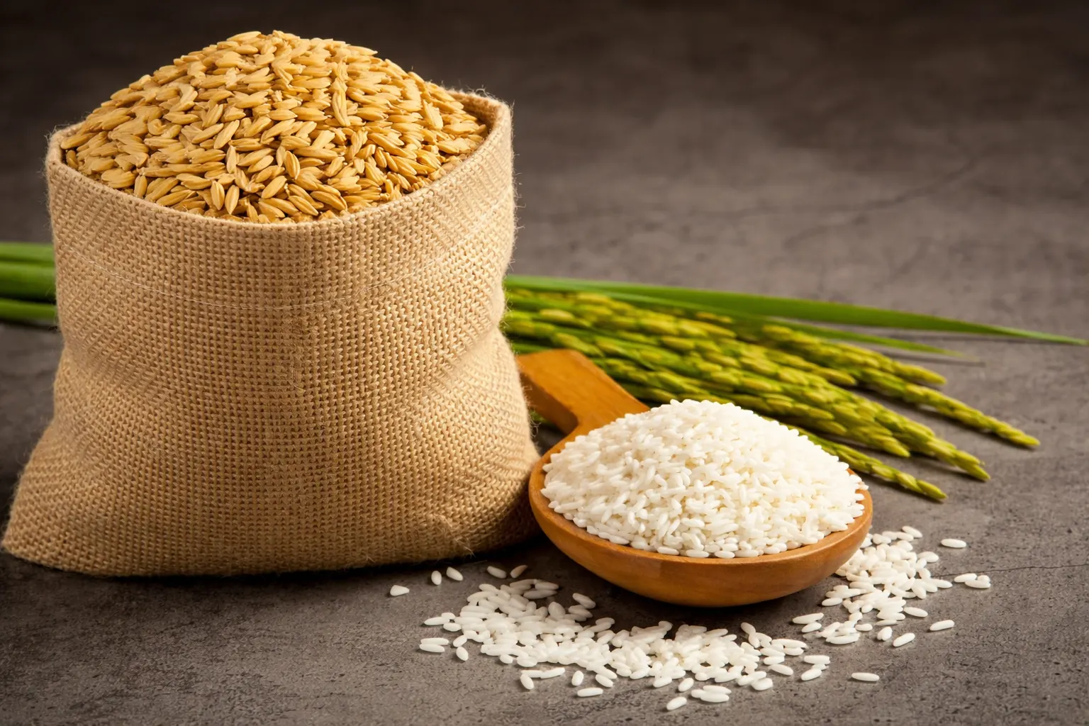 Fortified Rice Kernel Testing