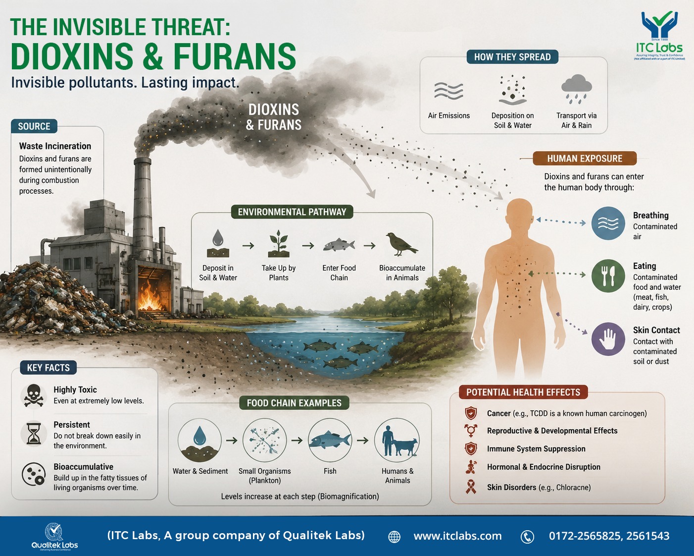 Need to Know About Dioxins and Furans
