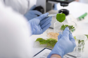 Herbal Medicine Testing Laboratory