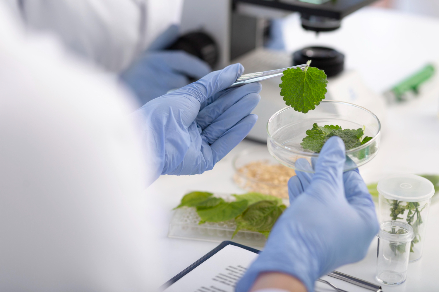 Herbal Medicine Testing Laboratory