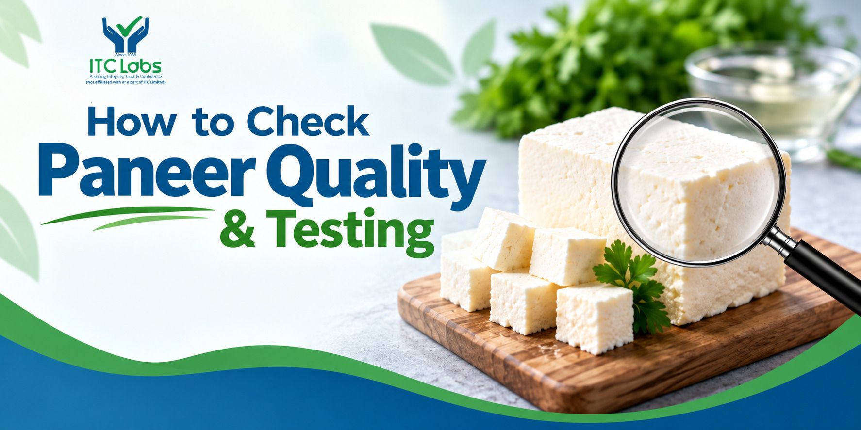 Paneer Quality & Testing