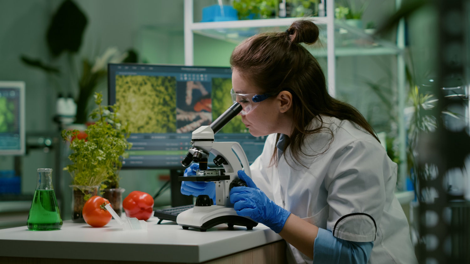 food testing lab